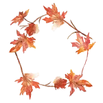 maple_leafs